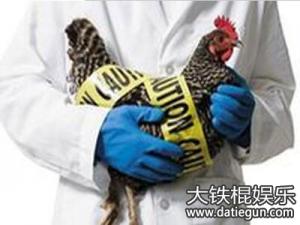 ۴H7N9 붬شH7N9Ѹ