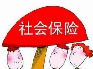 2017年深圳市失业保险条例,失业保险条例细则